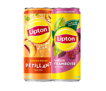Deux cannettes d’Ice Tea 15cl